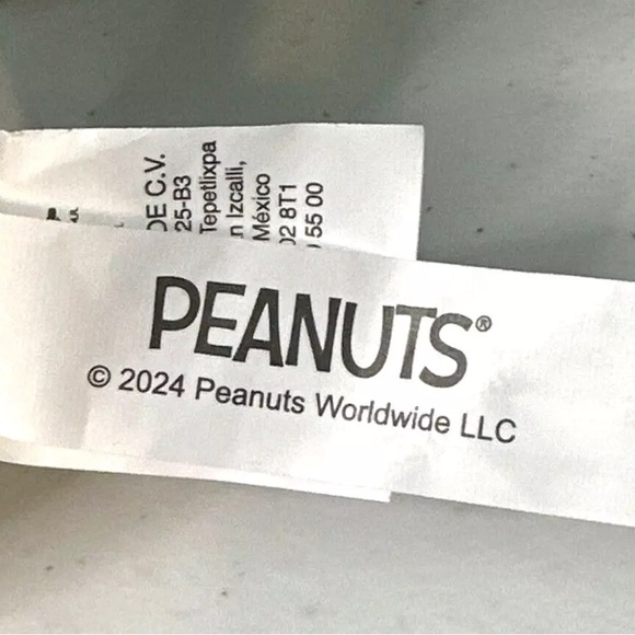 New in Hand Pickleball Snoopy Summer 2024 Peanuts 11” Plush As Seen on TikTok - Picture 10 of 10